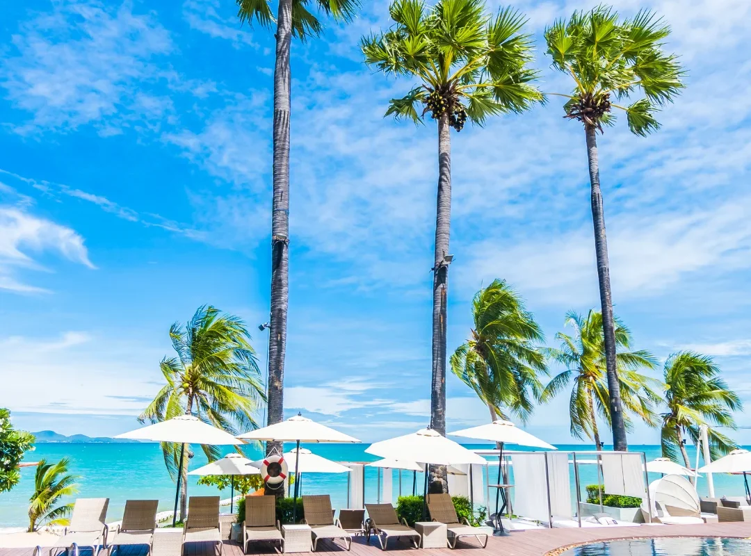 Diseño sin título - 2025-09-01T134750.950