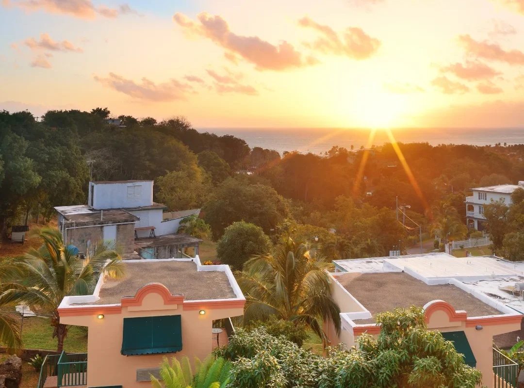 Diseño sin título - 2025-09-01T134800.929